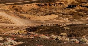 [中超]互送大礼 山东泰山战平浙江